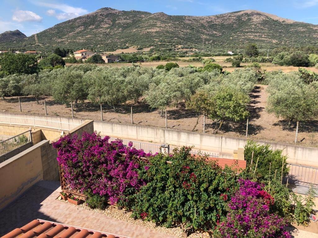 B&B Il Mirto Bianco San Giovanni Suèrgiu Exteriör bild
